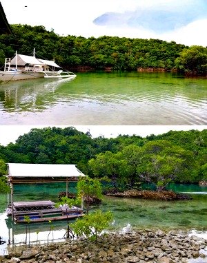 Off the Grid on Negros Occidental’s Danjugan Island