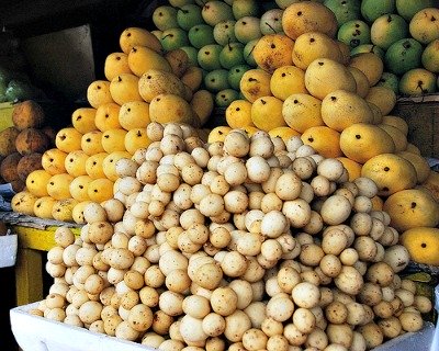 Lanzones Fruit - Camiguin Island