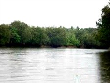 Liboganon River